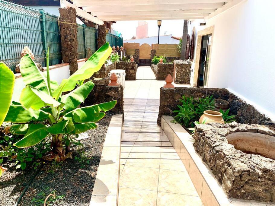 Casa Gato Lejlighed Corralejo Eksteriør billede